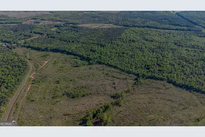 949 Marion Ripley Road, Dry Branch, GA 31020 - Photo 11