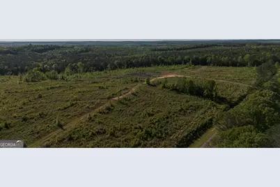 949 Marion Ripley Road, Dry Branch, GA 31020 - Photo 19