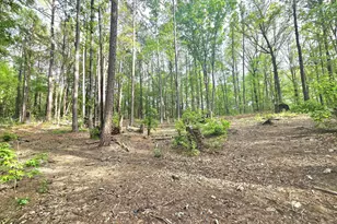 64 Shadow Ct, Palmetto, GA 30268 - Photo 37