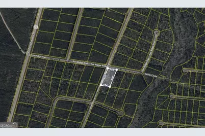 V/L 40 Fox Ridge, Waynesville, GA 31566 - Photo 1