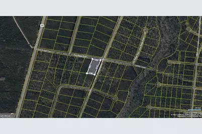 V/L 41 Fox Ridge, Waynesville, GA 31566 - Photo 1