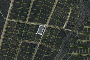 V/L 41 Fox Ridge, Waynesville, GA 31566 - Photo 1