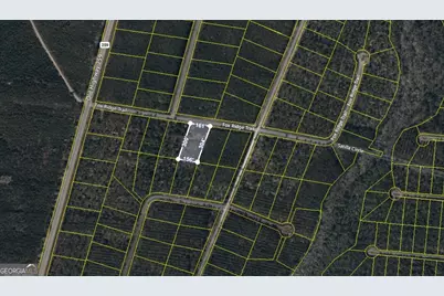 V/L 43 Fox Ridge, Waynesville, GA 31566 - Photo 1