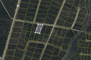 V/L 43 Fox Ridge, Waynesville, GA 31566 - Photo 1