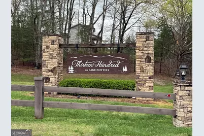 Lot 228 The Cove At Thirteen Hundred, Blairsville, GA 30512 - Photo 11