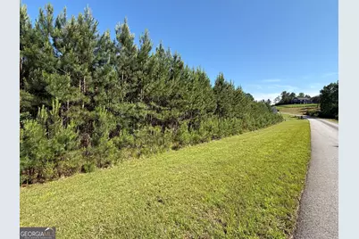Lot 228 The Cove At Thirteen Hundred, Blairsville, GA 30512 - Photo 1