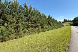 Lot 228 The Cove At Thirteen Hundred, Blairsville, GA 30512 - Photo 1