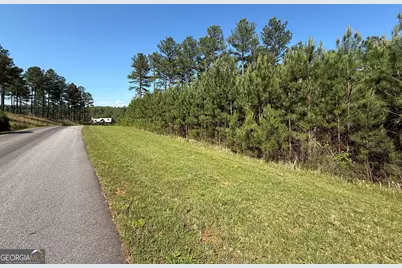 Lot 228 The Cove At Thirteen Hundred, Blairsville, GA 30512 - Photo 9