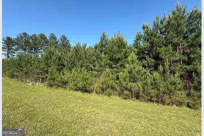 Lot 228 The Cove At Thirteen Hundred, Blairsville, GA 30512 - Photo 3