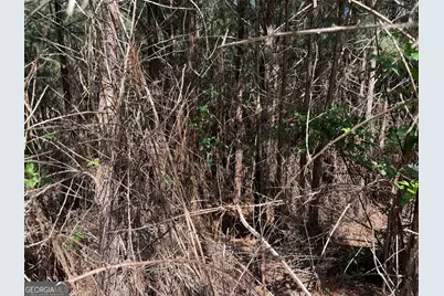 Lot 228 The Cove At Thirteen Hundred, Blairsville, GA 30512 - Photo 5