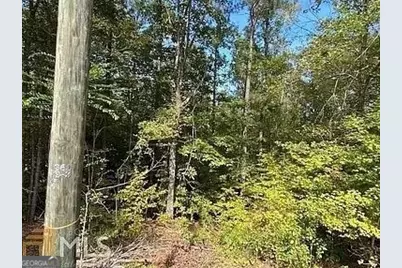 171 Bluegill Road, Eatonton, GA 31024 - Photo 9