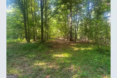 0 Old Poor Robin Road, Sylvania, GA 30467 - Photo 15