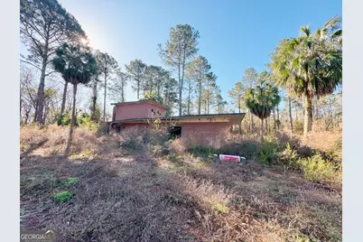 0 Old Ga Highway 3, Pelham, GA 31779 - Photo 5