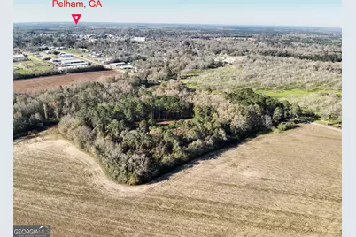 0 Old Ga Highway 3, Pelham, GA 31779 - Photo 7