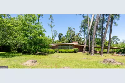 482 Curry Street NE, Pelham, GA 31779 - Photo 3