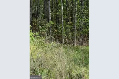 0 Eastside Drive, Ellijay, GA 30536 - Photo 7