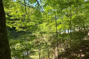 5363 Forest Dr, Loganville, GA 30052 - Photo 67