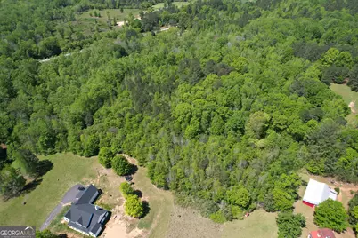 2310 Hollonville, Williamson, GA 30292 - Photo 9