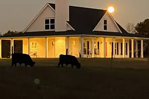 600 Piney Grove Rd, Comer, GA 30629 - Photo 63