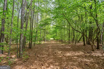 600 Piney Grove Road, Comer, GA 30629 - Photo 53