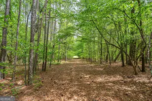 600 Piney Grove Rd, Comer, GA 30629 - Photo 53