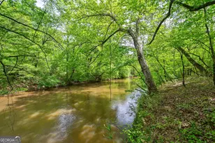 600 Piney Grove Rd, Comer, GA 30629 - Photo 45