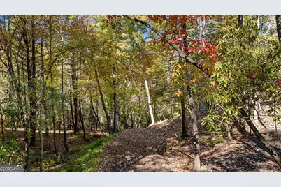 184 Spence Road, Blue Ridge, GA 30513 - Photo 5