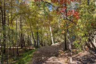 184 Spence Rd, Blue Ridge, GA 30513 - Photo 5