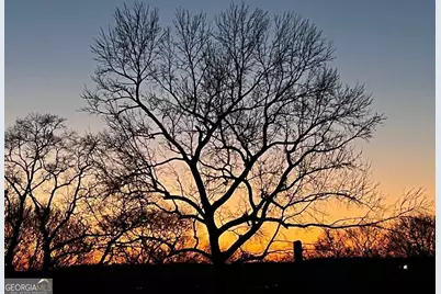 2897 Macaw Street NW, Atlanta, GA 30318 - Photo 61