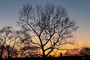 2897 Macaw St NW, Atlanta, GA 30318 - Photo 61