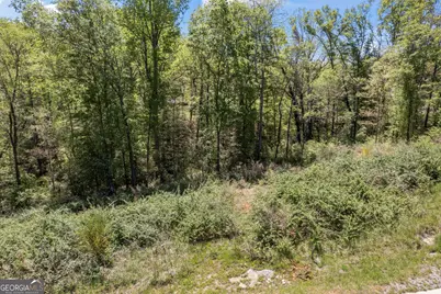 253 Lacount Lane, Clarkesville, GA 30523 - Photo 13