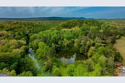 70 Golf Course Lane, Trion, GA 30753 - Photo 67