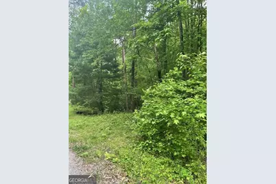 0 McCormick Drive, Dawsonville, GA 30534 - Photo 1