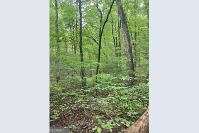 0 McCormick Drive, Dawsonville, GA 30534 - Photo 9