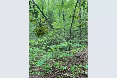 0 McCormick Drive, Dawsonville, GA 30534 - Photo 7