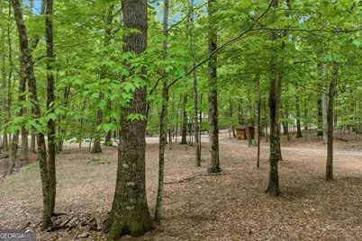 230 Northlake Drive, Sautee Nacoochee, GA 30571 - Photo 57