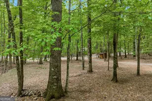 230 Northlake Dr, Sautee Nacoochee, GA 30571 - Photo 57