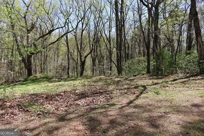 0 Spring Crest Road, Cleveland, GA 30528 - Photo 3