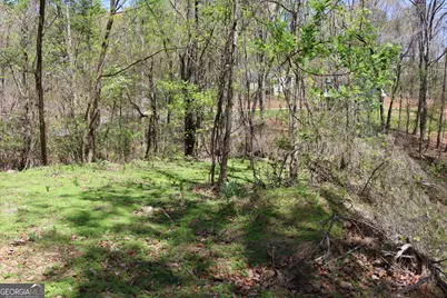 0 Spring Crest Road, Cleveland, GA 30528 - Photo 5