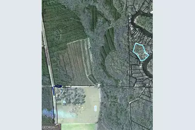 105 Crawford Road, Nahunta, GA 31553 - Photo 17