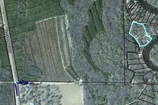 105 Crawford Rd, Nahunta, GA 31553 - Photo 17