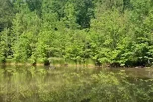 376 Paoli Rd, Carlton, GA 30627 - Photo 51