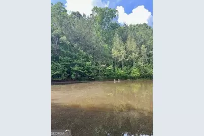 376 Paoli Road, Carlton, GA 30627 - Photo 49