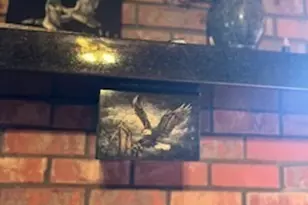 376 Paoli Rd, Carlton, GA 30627 - Photo 11