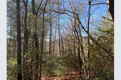 0 Barefoot Hill #TRACT 1, Hiawassee, GA 30546 - Photo 13