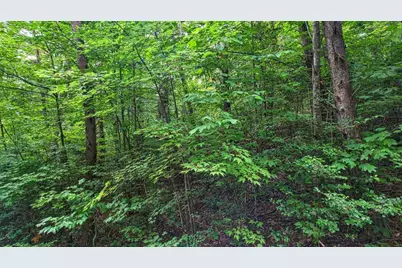 0 Barefoot Hill #TRACT 1, Hiawassee, GA 30546 - Photo 7