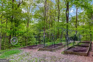 125 Spivey Ridge Rd, Blairsville, GA 30512 - Photo 53