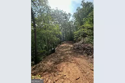 324 Adair Drive, Ranger, GA 30734 - Photo 11