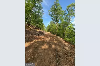 324 Adair Drive, Ranger, GA 30734 - Photo 9