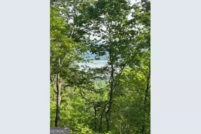 324 Adair Drive, Ranger, GA 30734 - Photo 1